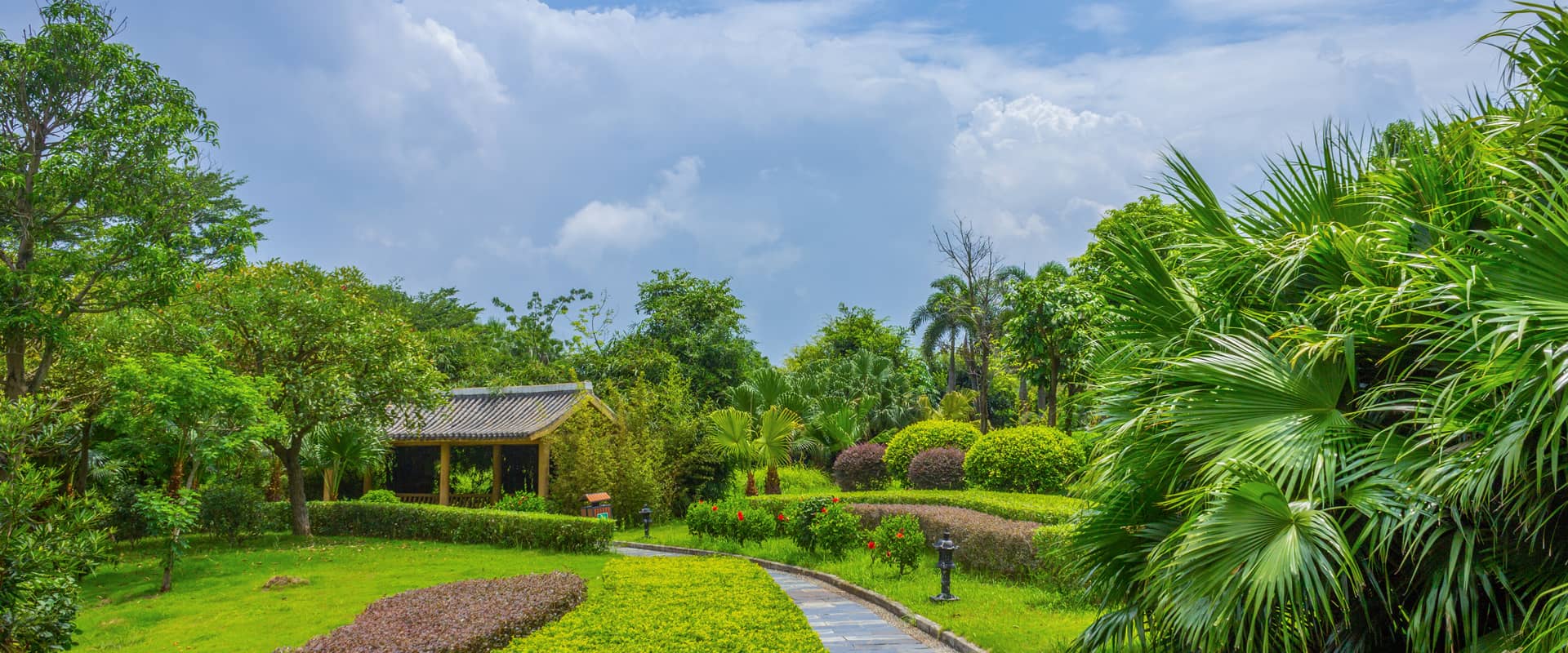 ayx2025：2025年民生实事完成情况系列（一）新闻发布会发布实录